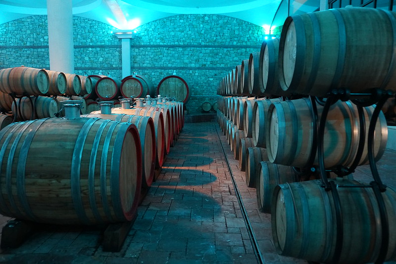 Day trips from Skopje - Stobi Winery